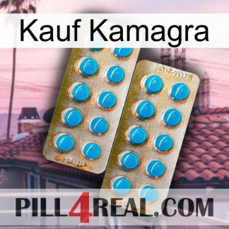 Purchase Kamagra new08